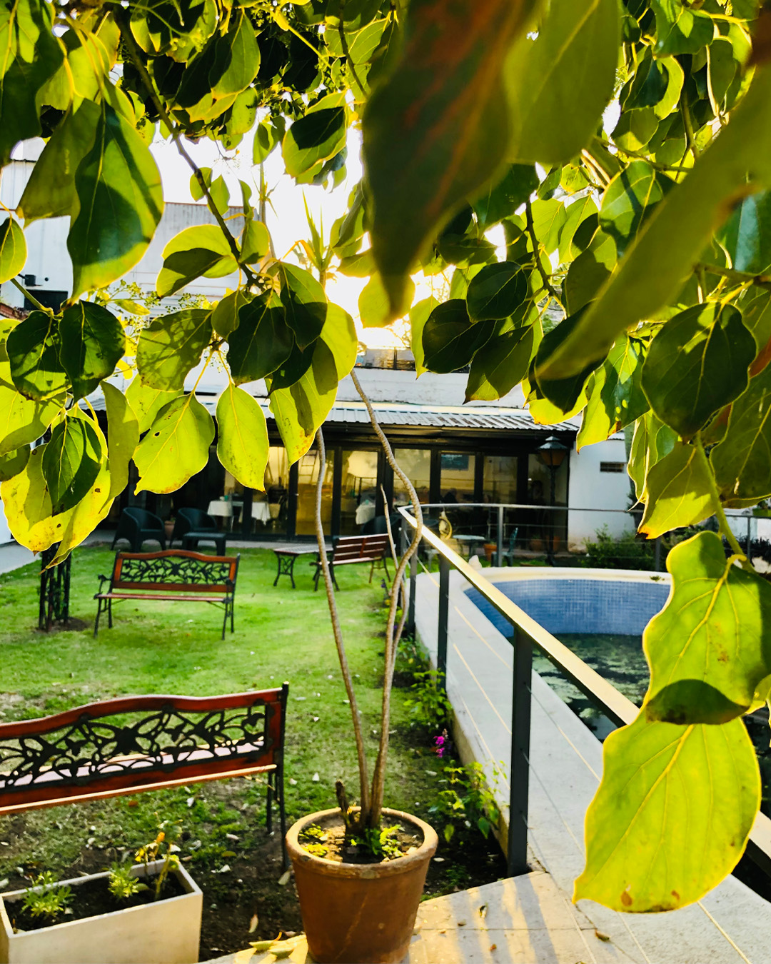 Residencia del Parque, geriátrico en Rosario con vista al parque
